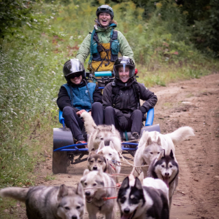 Cani-kart